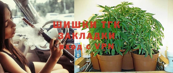 гидропоника Гусиноозёрск
