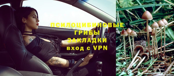 гидропоника Гусиноозёрск