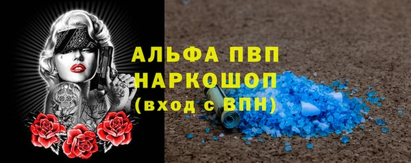 гидропоника Гусиноозёрск