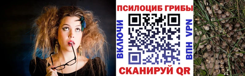Галлюциногенные грибы мицелий  маркетплейс какой сайт  Цивильск 